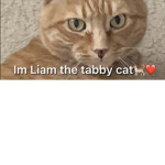 Liam’s peasants