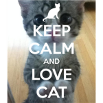 The Awesome Cat Empire