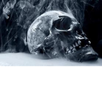 Kill The Dead
