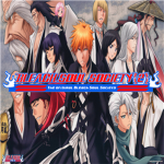 Bleach Soul Society (2)
