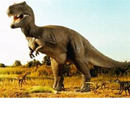 survive dinosaurs and other killers