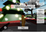 Brook haven support