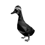 💎Obsidian Goose💎