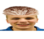 The epics ########