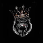 black_rey Group