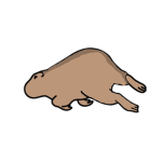 Capybara dude