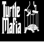 Turtle Mafia