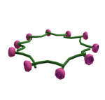 crown of roses fan club