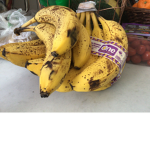 Banana studios. . . . . . . .