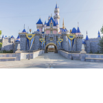 Disney land group
