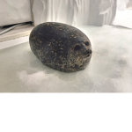 L'egg