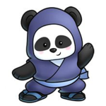 Ninja Panda Squad