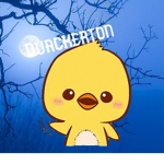 Official Duck Fan Club