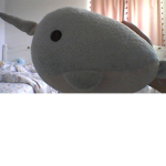 Narwhal <3