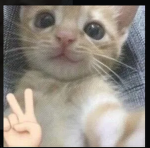 rahhh!