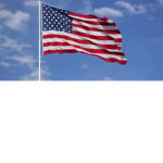 United States Of America (West Wood)