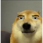 ネ Zen X