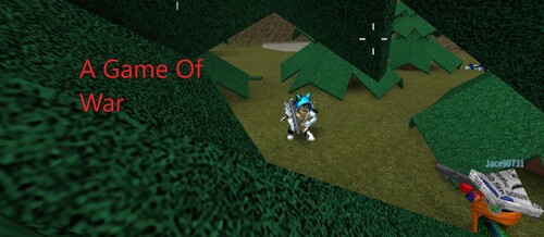 Image Sign Studios-capture the flag!!!