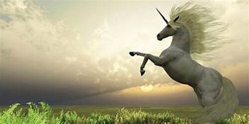 Unicorn & Godzilla Obby!!