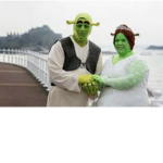 Shrek is very hot