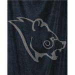 Skyrim: The Lost Legend. Stormcloack