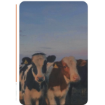 •Mooo squad by Chloe •