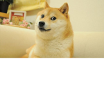 DOGE GROUP :D :D