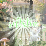 softxtea
