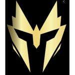 The Light Fight Knights
