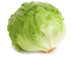 Le Lettuce Cult
