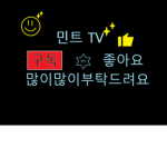 민트TV