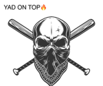 Y. A. D ( young and dangerous (high ranked)