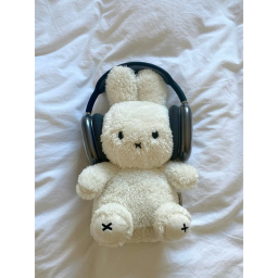🐇~ ♡ 🎧 ~♪