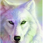 WingedWolfArmy