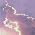 Milly unicorns