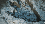 The Kaiju Rising: A Roleplay Universe
