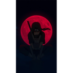 $hinobi Strikes