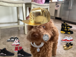 Roblox is the. BEST
