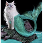 CatFishies