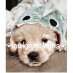 SimpleySunny
