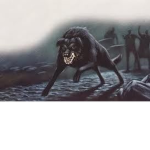 Black Dober [PG:O]