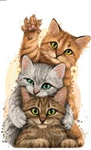 All About Catz