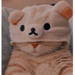 -ᴄᴀᴛ ғʀɪᴇɴᴅs-