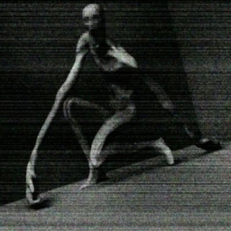 Survival The SCP