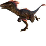 Raptor's Clothing Store