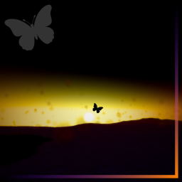 Butterflys