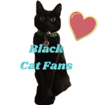 Black Cat Fans
