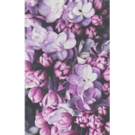 Lil lilac
