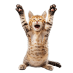 Save evrey animal on earth