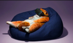 Lazy Workspace